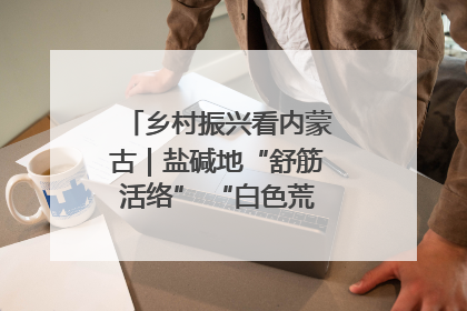 乡村振兴看内蒙古｜盐碱地“舒筋活络” “白色荒漠”长出吨粮田