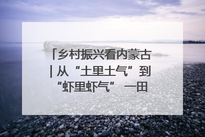 乡村振兴看内蒙古｜从“土里土气”到“虾里虾气” 一田双收模式火出圈