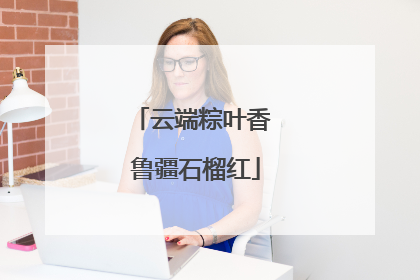云端粽叶香 鲁疆石榴红