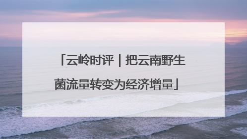 云岭时评｜把云南野生菌流量转变为经济增量