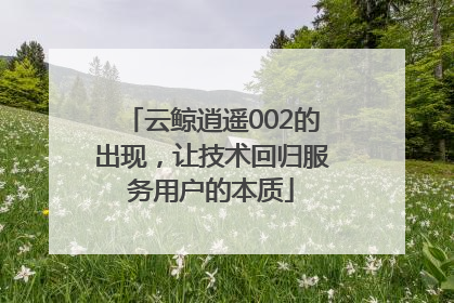 云鲸逍遥002的出现，让技术回归服务用户的本质