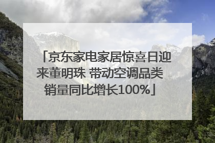 京东家电家居惊喜日迎来董明珠 带动空调品类销量同比增长100%