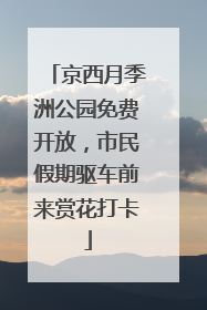 京西月季洲公园免费开放，市民假期驱车前来赏花打卡