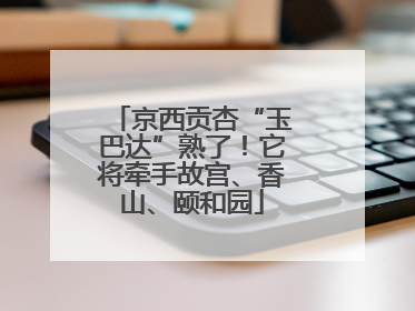 京西贡杏“玉巴达”熟了！它将牵手故宫、香山、颐和园