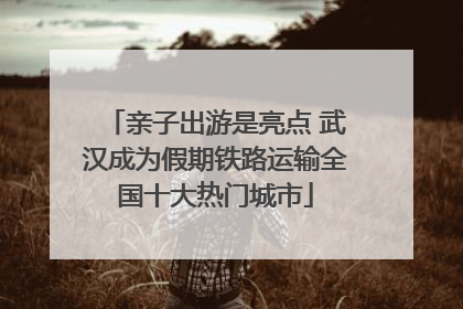 亲子出游是亮点 武汉成为假期铁路运输全国十大热门城市