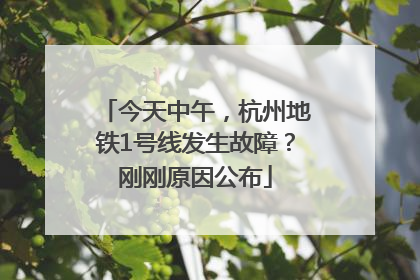 今天中午，杭州地铁1号线发生故障？刚刚原因公布