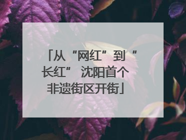 从“网红”到“长红” 沈阳首个非遗街区开街