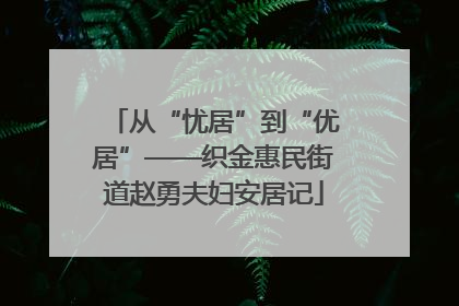 从“忧居”到“优居”——织金惠民街道赵勇夫妇安居记