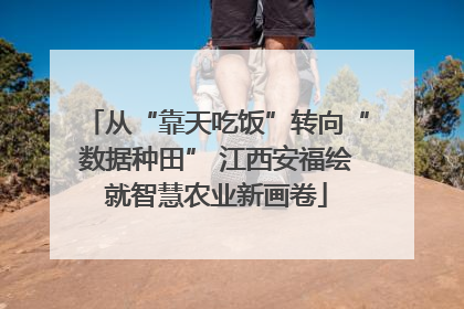 从“靠天吃饭”转向“数据种田” 江西安福绘就智慧农业新画卷