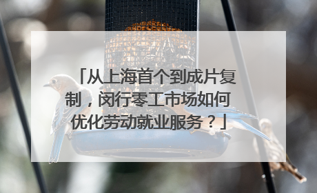 从上海首个到成片复制，闵行零工市场如何优化劳动就业服务？