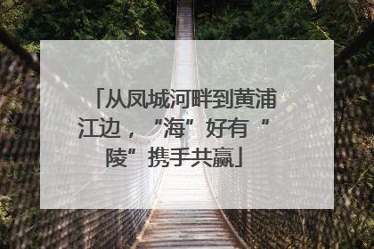 从凤城河畔到黄浦江边，“海”好有“陵”携手共赢