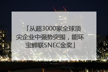 从超3000家全球顶尖企业中强势突围，能环宝蝉联SNEC金奖
