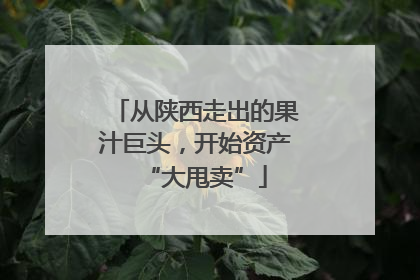 从陕西走出的果汁巨头，开始资产“大甩卖”