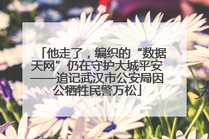 他走了，编织的“数据天网”仍在守护大城平安——追记武汉市公安局因公牺牲民警万松