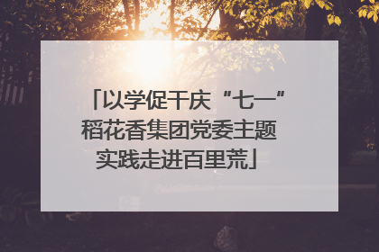 以学促干庆“七一” 稻花香集团党委主题实践走进百里荒