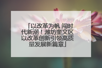 以改革为帆 闯时代新潮！潍坊奎文区以改革创新引领高质量发展新篇章