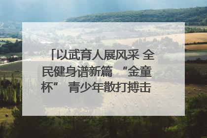 以武育人展风采 全民健身谱新篇 “金童杯” 青少年散打搏击邀请赛圆满落幕
