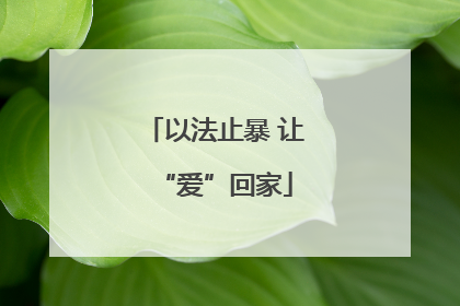 以法止暴 让“爱”回家