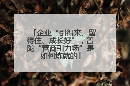 企业“引得来、留得住、成长好”，普陀“营商引力场”是如何炼就的