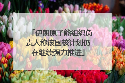 伊朗原子能组织负责人称该国核计划仍在继续强力推进
