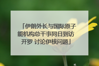 伊朗外长与国际原子能机构总干事同日到访开罗 讨论伊核问题