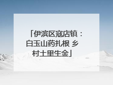 伊滨区寇店镇：白玉山药扎根 乡村土里生金