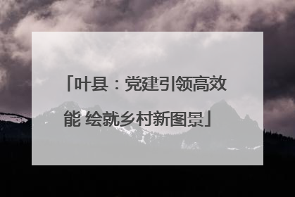 叶县：党建引领高效能 绘就乡村新图景