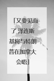 又要见面了 泽连斯基将与特朗普在加拿大会晤