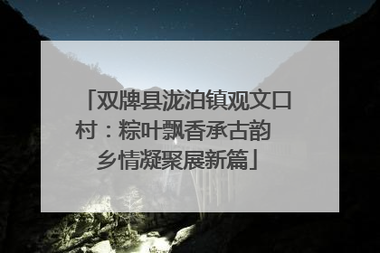 双牌县泷泊镇观文口村：粽叶飘香承古韵 乡情凝聚展新篇