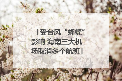 受台风“蝴蝶”影响 海南三大机场取消多个航班