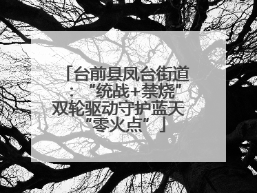 台前县凤台街道：“统战+禁烧”双轮驱动守护蓝天 “零火点”