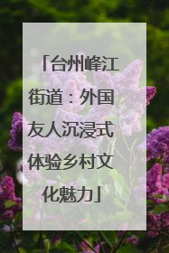 台州峰江街道：外国友人沉浸式体验乡村文化魅力