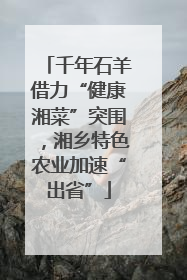 千年石羊借力“健康湘菜”突围，湘乡特色农业加速“出省”