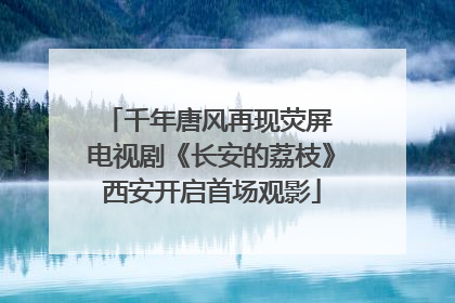 千年唐风再现荧屏 电视剧《长安的荔枝》西安开启首场观影