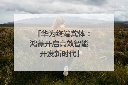 华为终端龚体：鸿蒙开启高效智能开发新时代