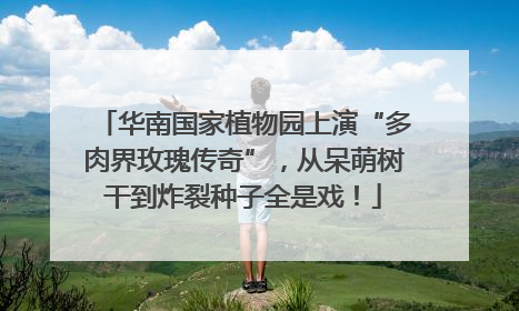 华南国家植物园上演“多肉界玫瑰传奇”，从呆萌树干到炸裂种子全是戏！