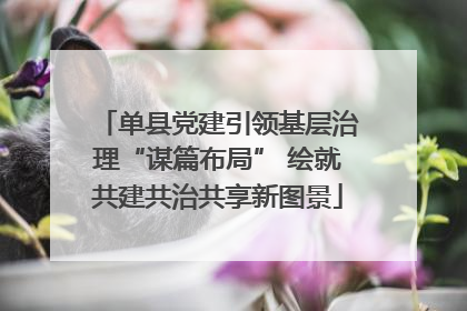 单县党建引领基层治理“谋篇布局” 绘就共建共治共享新图景