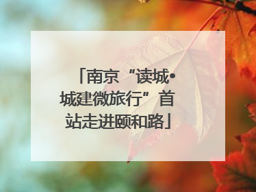 南京“读城•城建微旅行”首站走进颐和路