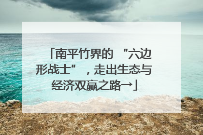 南平竹界的 “六边形战士”，走出生态与经济双赢之路→
