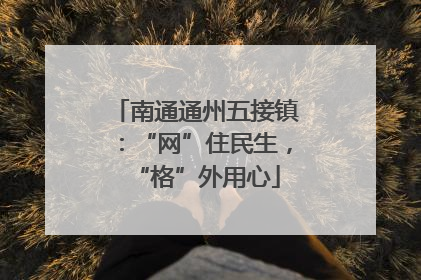 南通通州五接镇：“网”住民生，“格”外用心