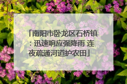 南阳市卧龙区石桥镇：迅速响应强降雨 连夜疏通河道护农田