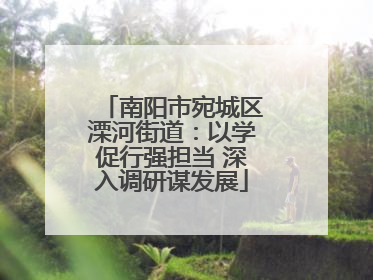 南阳市宛城区溧河街道：以学促行强担当 深入调研谋发展