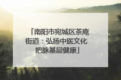 南阳市宛城区茶庵街道：弘扬中医文化 把脉基层健康