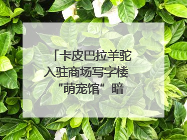 卡皮巴拉羊驼入驻商场写字楼 “萌宠馆”暗藏哪些隐患？