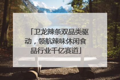 卫龙辣条双品类驱动，领航辣味休闲食品行业千亿赛道