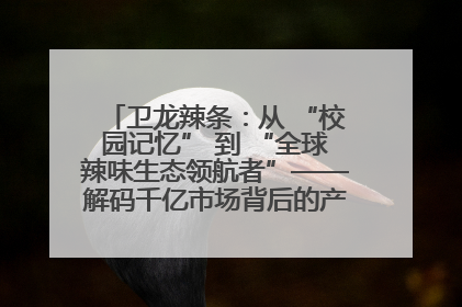 卫龙辣条：从 “校园记忆” 到 “全球辣味生态领航者”——解码千亿市场背后的产品创新与全链路破圈