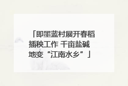 即墨蓝村展开春稻插秧工作 千亩盐碱地变“江南水乡”
