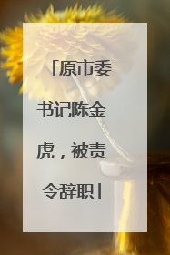 原市委书记陈金虎，被责令辞职