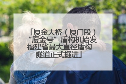 厦金大桥（厦门段）“厦金号”盾构机始发 福建省最大直径盾构隧道正式掘进