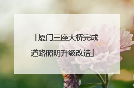 厦门三座大桥完成道路照明升级改造